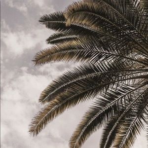 Meet your Posher, Samia